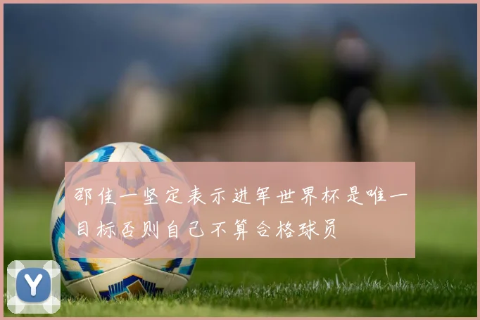 邵佳一坚定表示进军世界杯是唯一目标否则自己不算合格球员