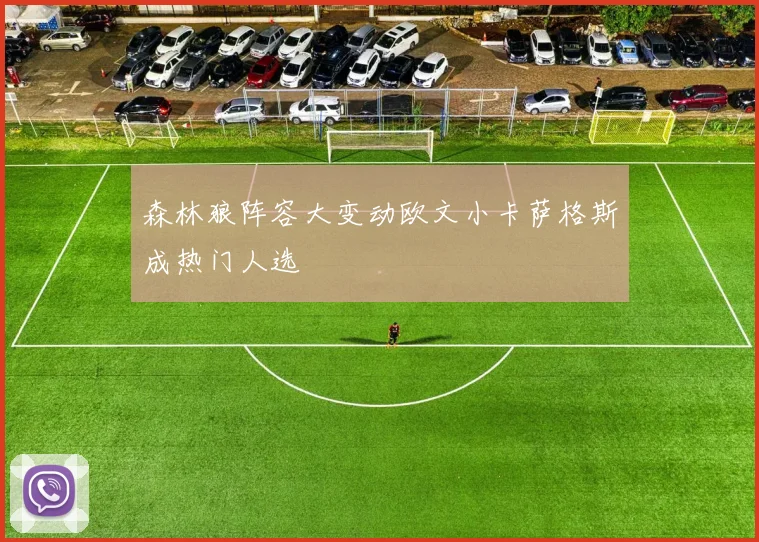 森林狼阵容大变动欧文小卡萨格斯成热门人选